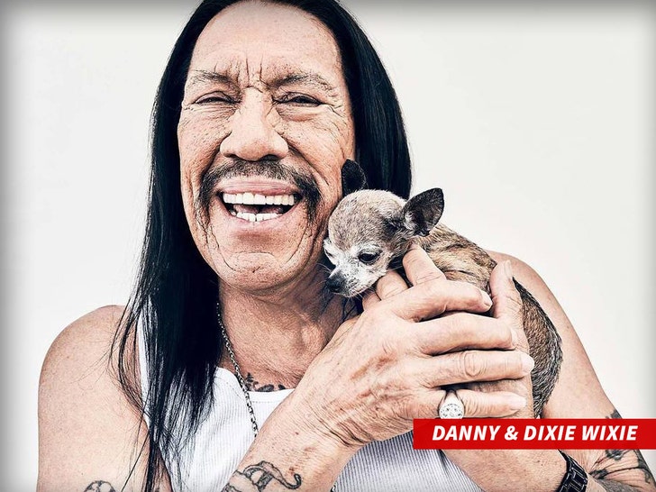 7650193a61184241966bd35762eee97d_md Dixie Wixie danny trejo