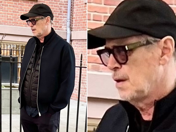 769b50466697448ea7fdd3441b04bf7f_md Steve Buschemi black eye