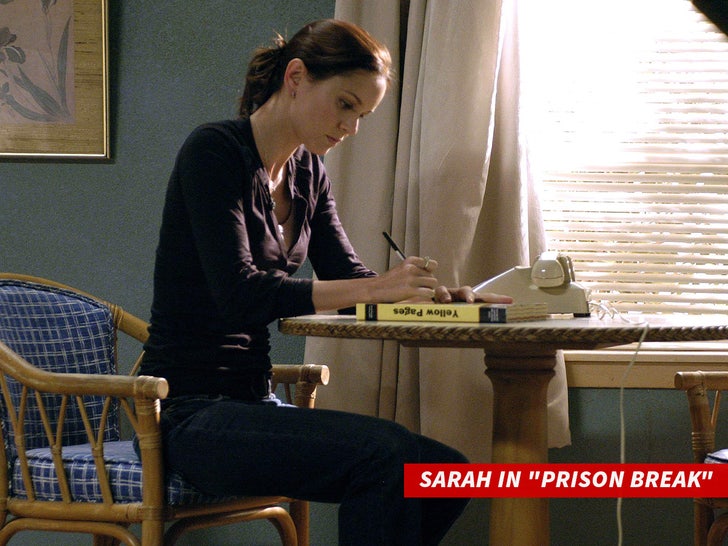 Sarah Wayne Callies in