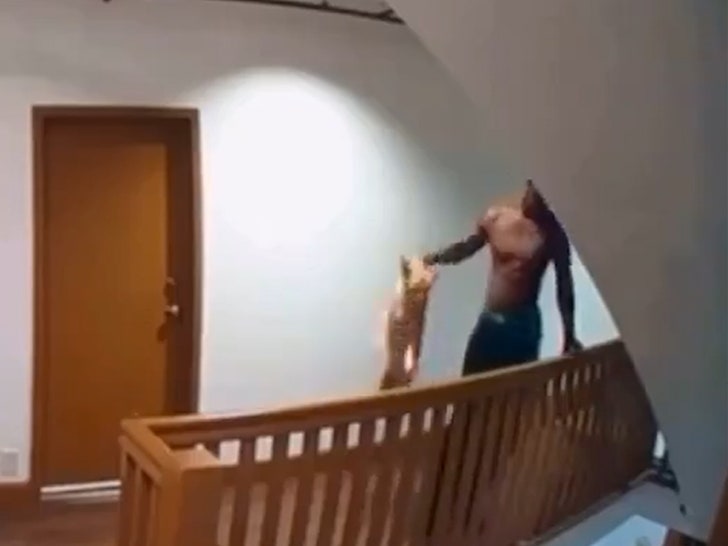 8343fc45135b4c16939c11c1d0e104a5_md 071124_stairwell_dog-sg1