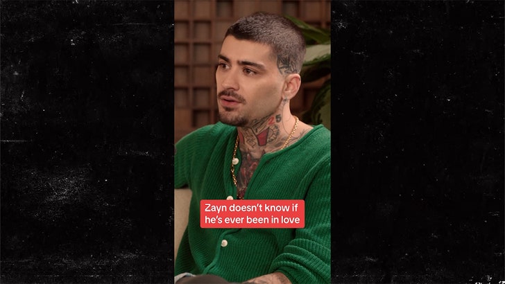 8c5ba6eda2c74e3c8127fd8a803ba6e1_md-1 050924_zayn_malik-kal