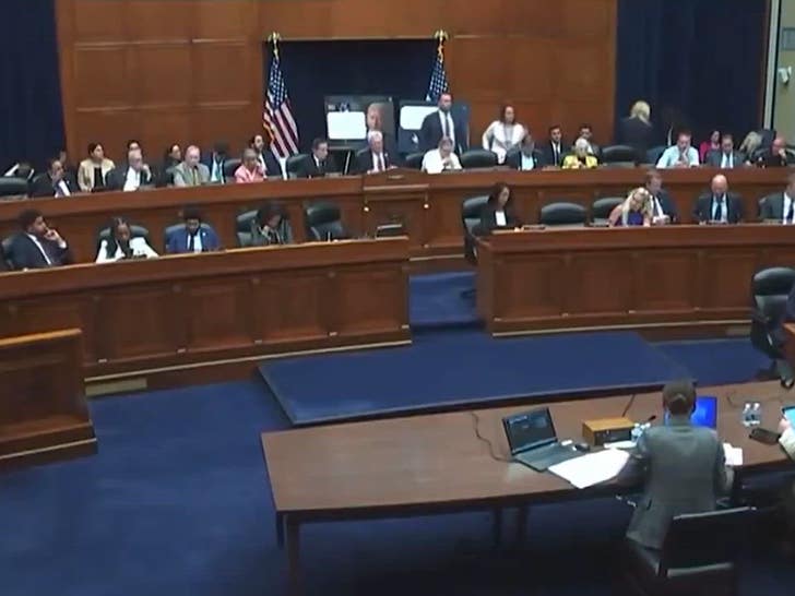 8f64bfe5b85b4fc2bac40bd5283a7415_md 051724_congress_cat_fight_1830406