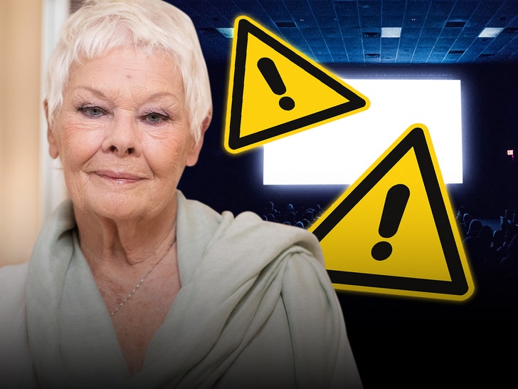 91c62d3da0d44111adbf875ee71140da_md judi dench trigger warning theatre movies