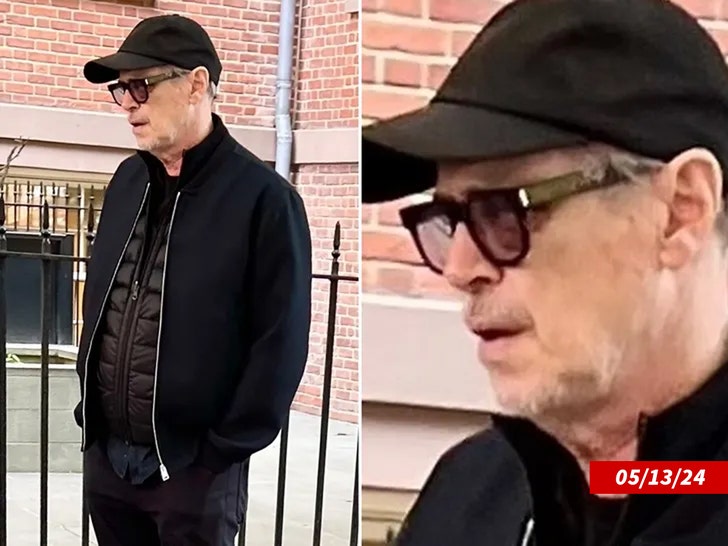 steve Buscemi black eye