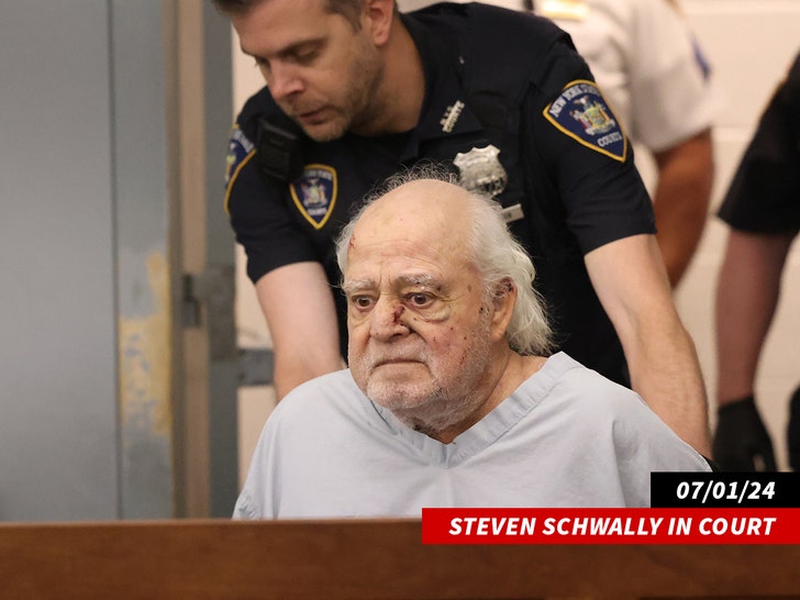 Steven Schwally in Court getty 1