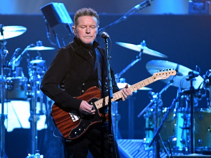 Don Henley Performance Photos