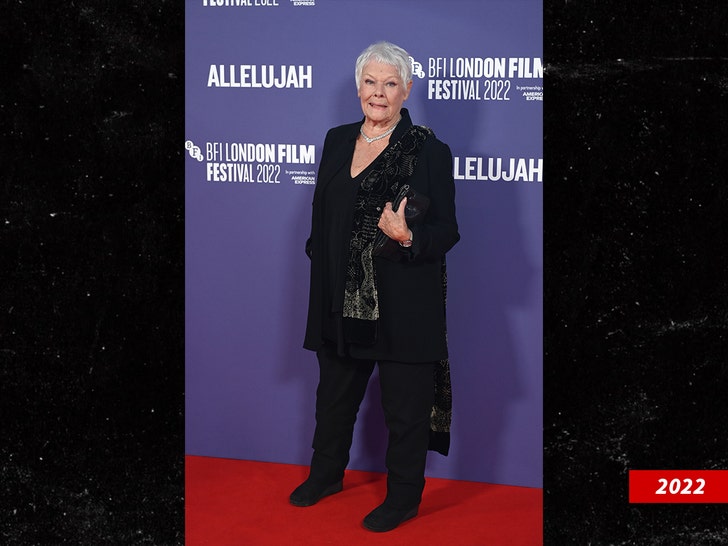 9cae2e00e59f412aa0ce7ba322c00f80_md judi dench getty 3
