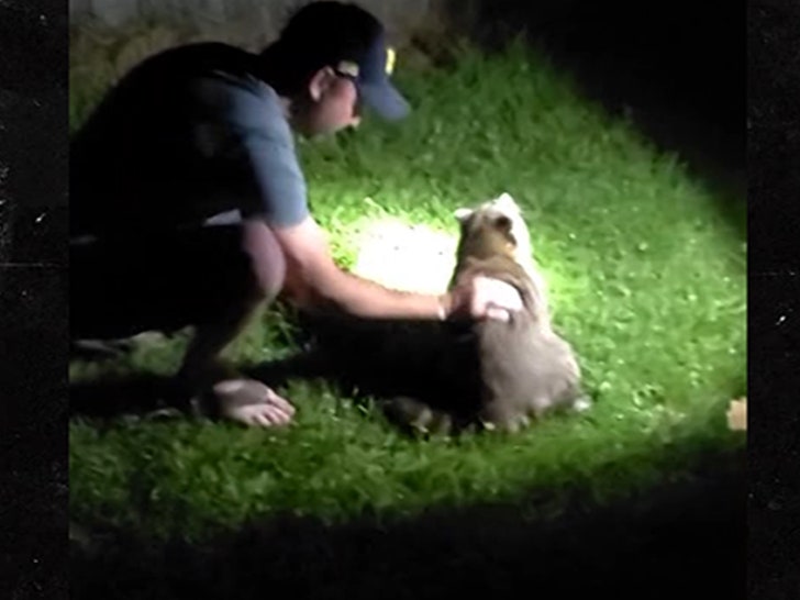 061924_racoon_choke-sg5