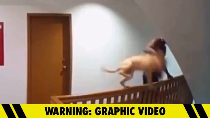 a175112b781f423e95d771c598d1c253_md 071124_stairwell_dog-kal