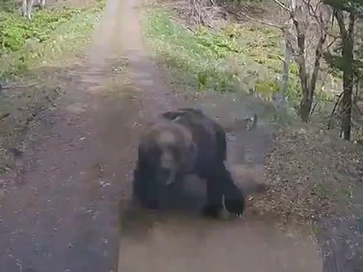 a24210a6a5a74b119556869d9d63dbaf_md 050924_bear_attack-SG1