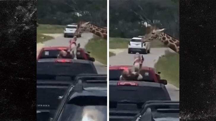 060524-giraffe-baby-kal