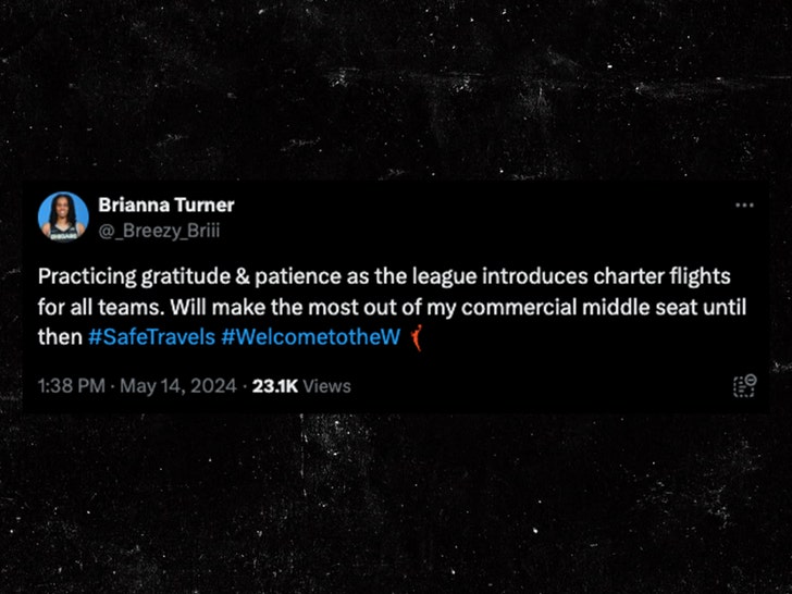 brianna turner tweet about flights