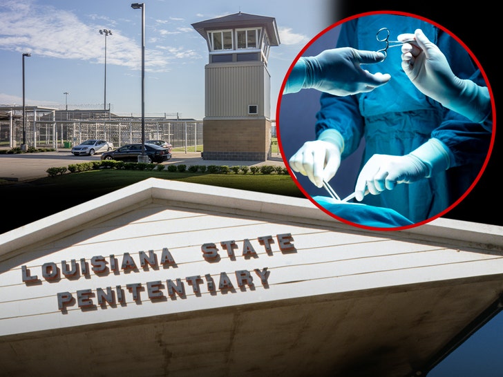 Louisiana lawmakers surgical castration sex crime