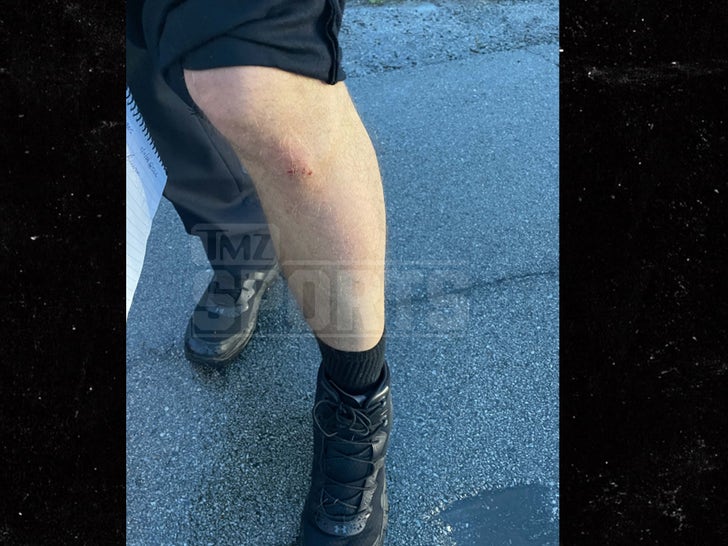 Scottie-Scheffler-Arrest-Photos-Primary-2