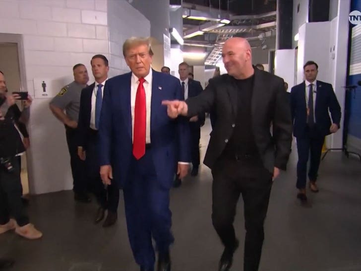 053124-donald-trump-ufc-4