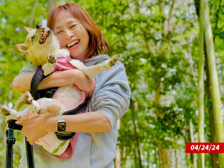 Doge coin dog instagram