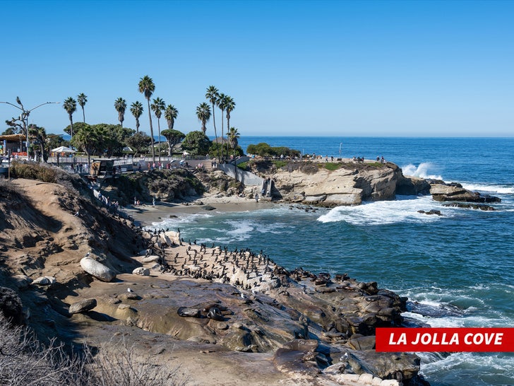 La Jolla Cove sub