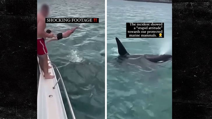 052224-bodyslamming-whale-kal