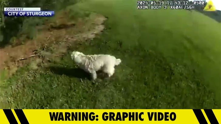 bef1adf426814f32afff72410f7d2e91_md 052424-police-shoots-dog-kal