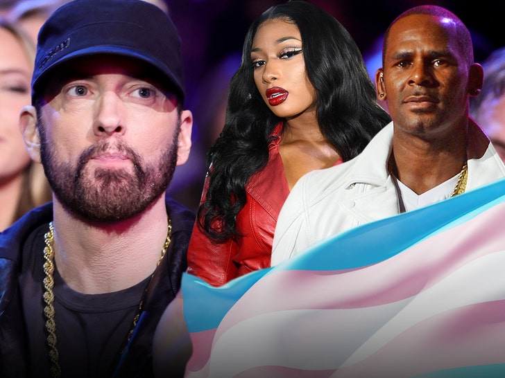 eminem megan kelly trans flag