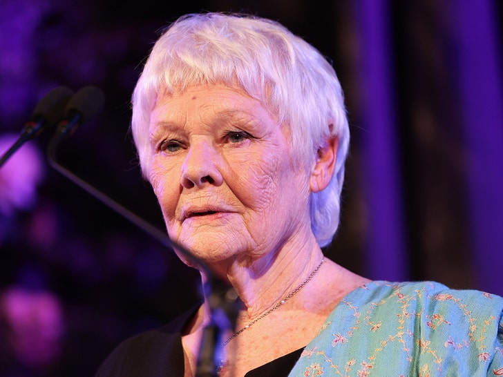 c8528d68546d4d1881133abaf1dc2133_md judi dench