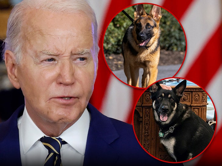 ca908889ea8c44ddb0f155d052447aa0_md joe biden dog main