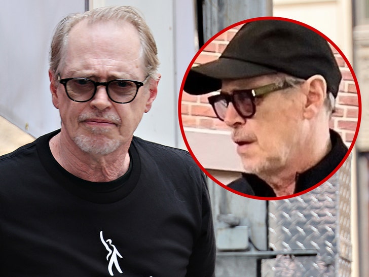 ce6c3f42e83545efb7a65b9a2b039c5a_md Steve Buscemi black eye