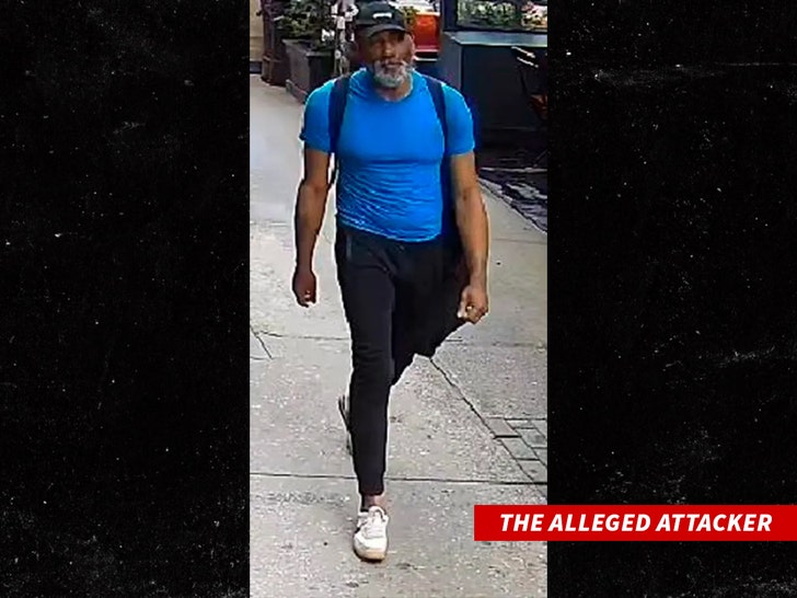 Steve buscemi The Alleged Attacker