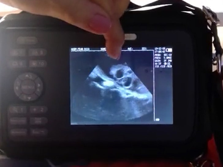 070224-stingray-primary-2