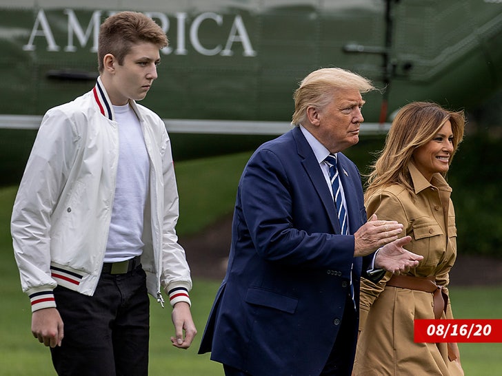 d56b6be44c5546f1827c0d970f3fd5b9_md Barron Trump sub 2_