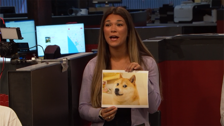 d604ad6908fe491fa57a2a2103a2fba8_md 052424_tv_clips_doge_meme_died.01_00_04_17.Still001