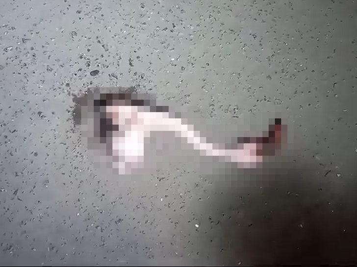 052124-flamingos-head-primary