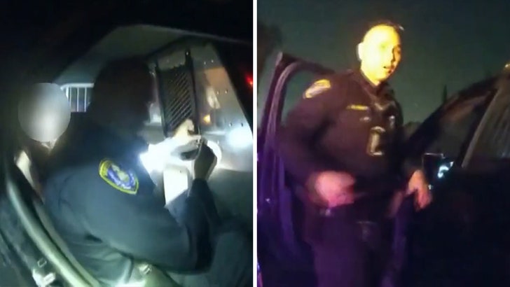 d830f68dac1946d6938d95a8733410de_md Police Backseat