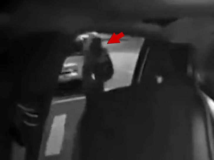 d928323dec0a4b19ab1144bf7174e011_md 051424-nyc-taxi-gun-primary