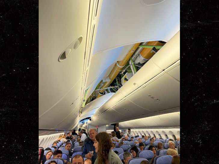 db404395ec584a40aa246b760b32a938_md-1 UX45 made an emergency landing