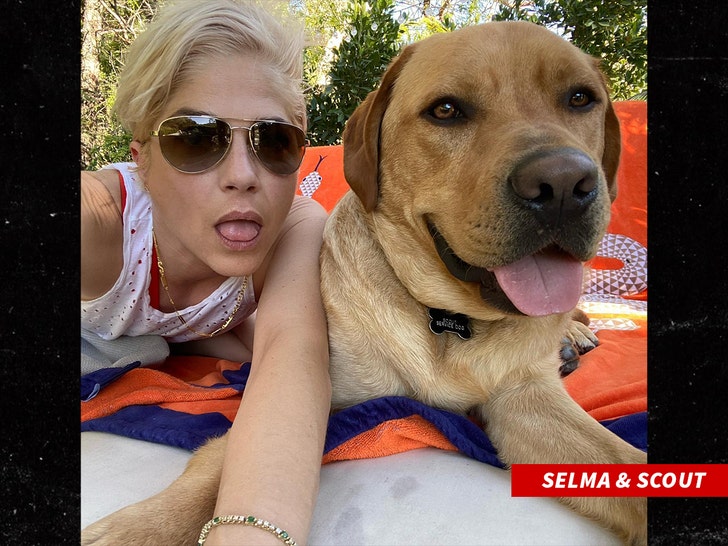 selma blair and dog
