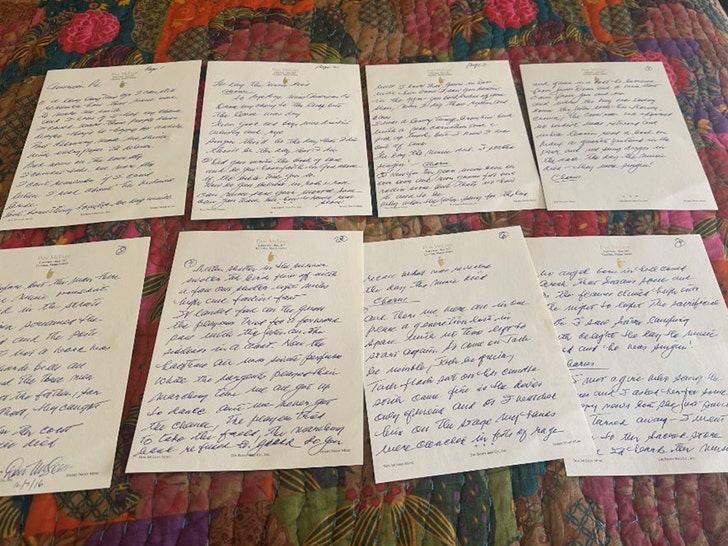 Don McLean american pie