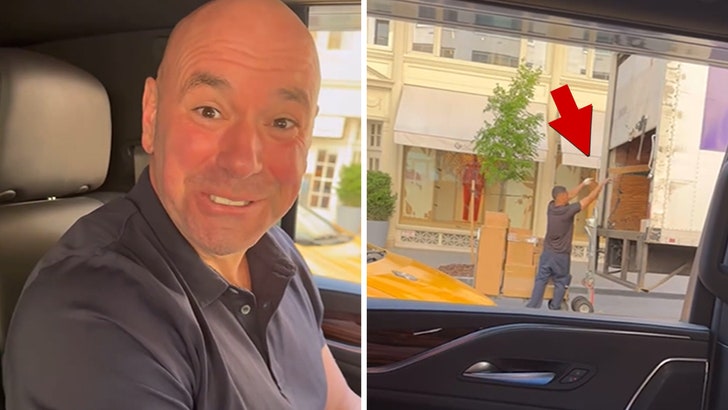 e3c1ff7fbd8b41d3a2a4db7a3797838b_md Dana White