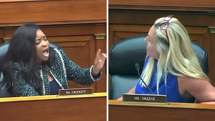 e8867c72b71849d0be9bb3d8c9e794f4_md-2 051724_congress_cat_fight-kal