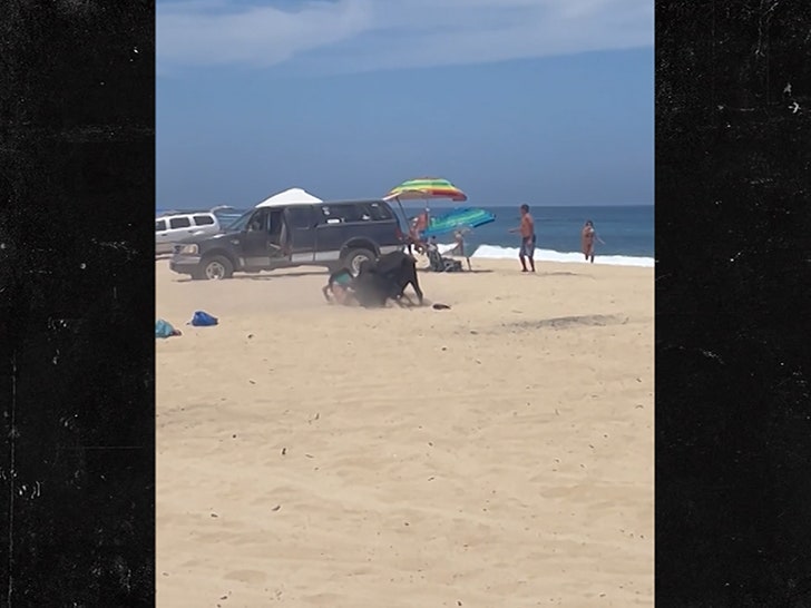 ee81a2ed8f46409cbc58ddbd73b460e8_md 051524-beach-bull-primary-4