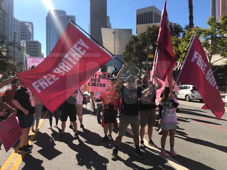 Free Britney Rally