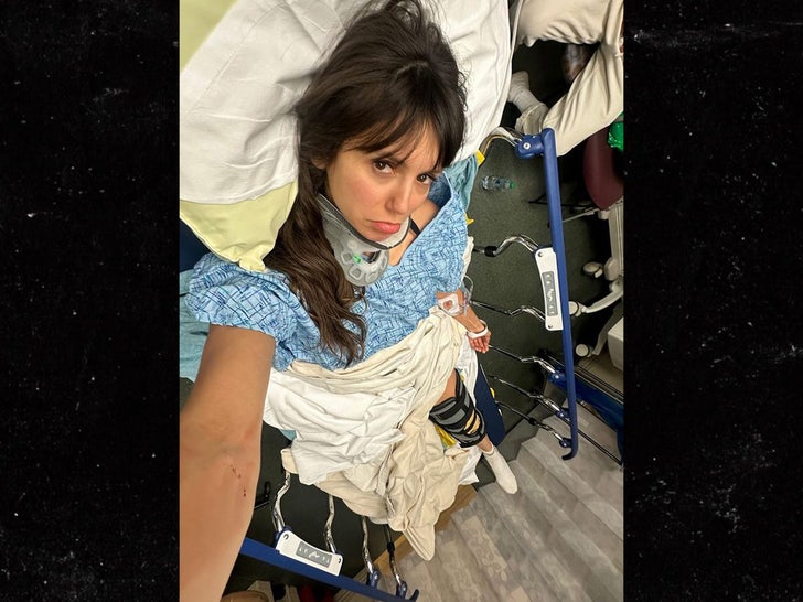 Nina Dobrev Instagram