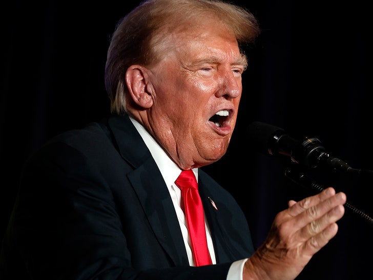 donald trump main alt