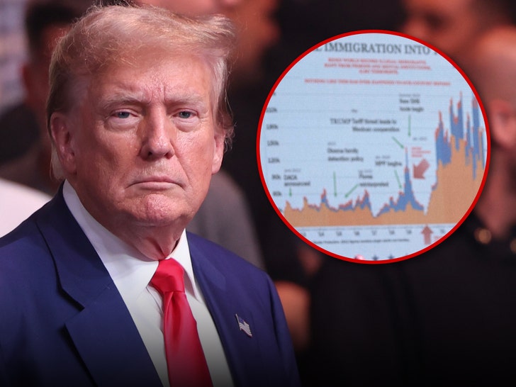 donald trump immigration chart