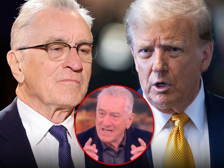 f31e9838e28d4b82bd6085eb20b44792_md Robert DeNiro Main_