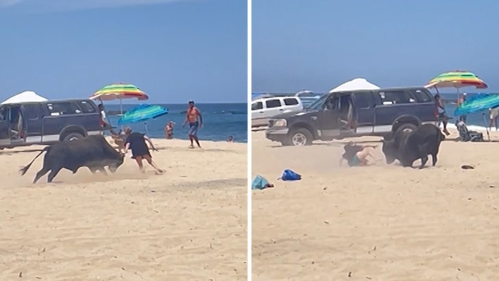 f325dc98159f4caabb610495b5c28c29_md 051524_beach_bull_kal