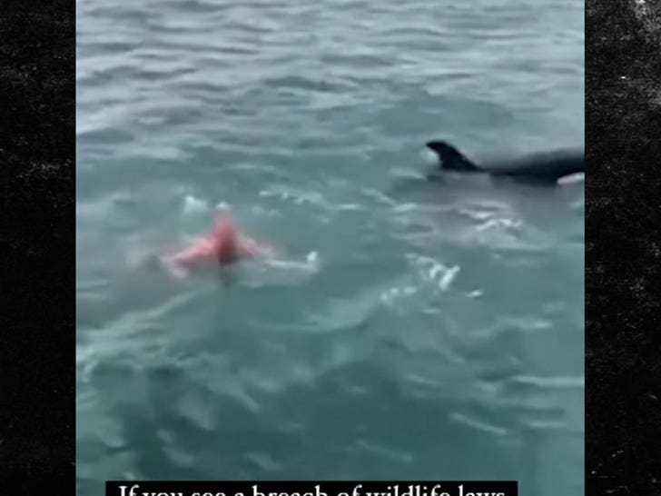 052224-bodyslamming-whale-4