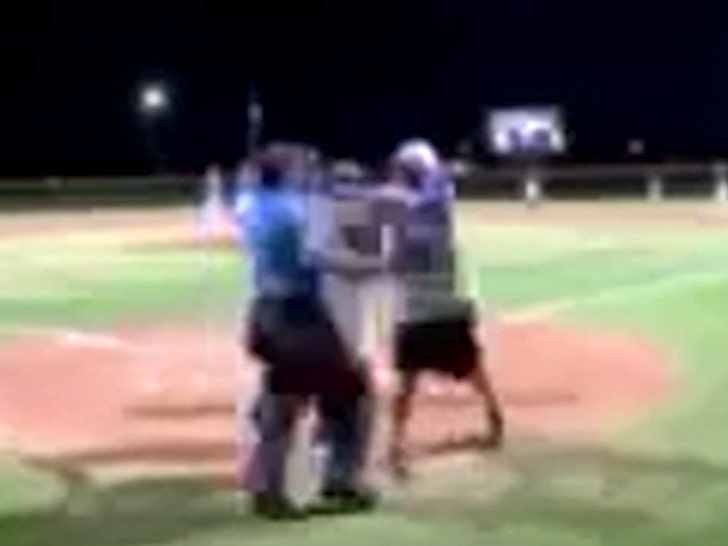 071724-umpire-coach-fight-4