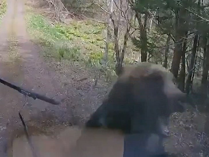 fba966faa30c405fbc84b8a5d6758f49_md 050924_bear_attack-sg3