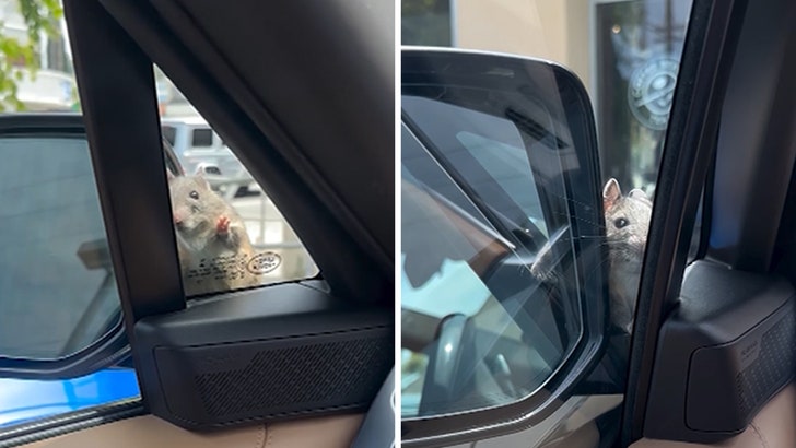 fcd069b0223c43f3aa917f3efdbaddd8_md Kyle Richards